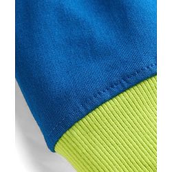 Pine Kids Cotton Knit Full Raglan Sleeves Hooded Sweatshirt With Cut & Sew Design - Blue