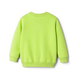 Pine Kids Cotton Knit Full Sleeves Sweatshirt With Floral Print - Limegreen