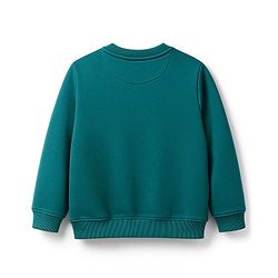 Pine Kids Knit Full Sleeves Sweatshirt With Skating Print - Mint Green