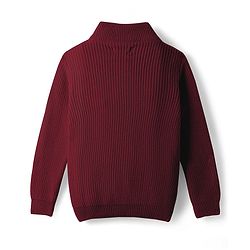 Pine Kids Knit Full Sleeves High Neck Solid Color Pullover Sweater - Wine