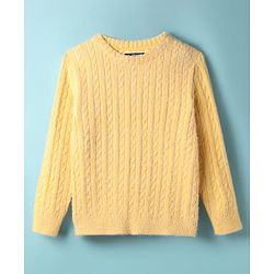 Pine Kids Knit Full Sleeves Pullover Sweater with Cable Knit Design - Yellow