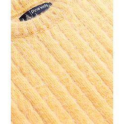 Pine Kids Knit Full Sleeves Pullover Sweater with Cable Knit Design - Yellow