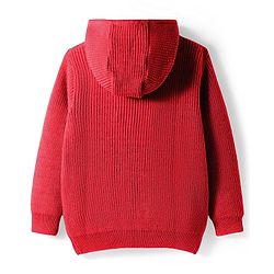 Pine Kids Knit Full Sleeves Solid Color Front Open Hooded Sweater Set - Red