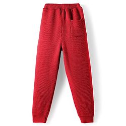 Pine Kids Knit Full Sleeves Solid Color Front Open Hooded Sweater Set - Red