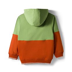 Pine Kids Cotton Knit Full Sleeves Hooded Sweatshirt With RMX Print & Kangaroo Pockets - Green & Rust