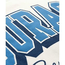 Pine Kids Cotton Knit Full Sleeves Hooded Sweatshirt With Text Print - White
