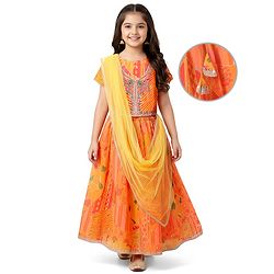 Pine Kids Woven Half Sleeves Striped Choli Lehenga Set with Dupatta Floral Print & Embroidery - Orange