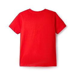 Pine Kids Cotton Knit Half Sleeves T-Shirt with Skating Graphic - Red