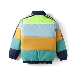 Pine Kids Woven Full Sleeves Padded Jacket with Cut & Sew Design - Multicolor