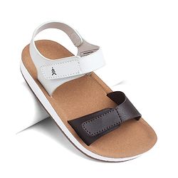 Pine Kids Solid Sandals with Velcro Closure - Brown