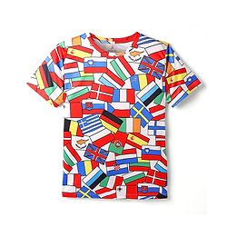 Pine Active Knit Half Sleeves Flags Printed T-Shirt - Multicolour