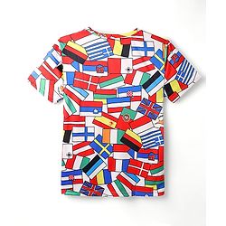 Pine Active Knit Half Sleeves Flags Printed T-Shirt - Multicolour
