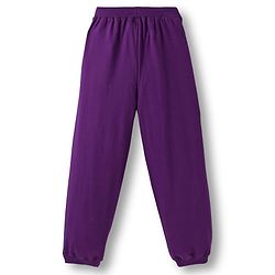 Pine Kids Looper Knit Full Sleeves Winter Wear Sweatshirt & Lounge Pant Set With Text Print - Purple