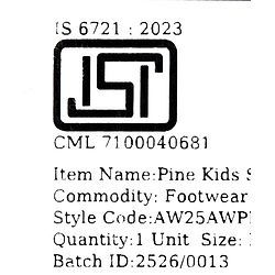 Pine Kids Velcro Closure Solid Sandal - Brown