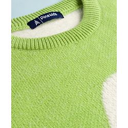 Pine Kids Knit Full Sleeves Pullover Sweater with Tropical Theme Print - Light Green & White