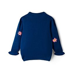Pine Kids Knit Full Sleeves Pullover Sweater with Floral Embroidery - Navy Blue