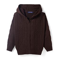 Pine Kids Knit Full Sleeves Hooded Sweater Set With Cable Knit Design - Brown