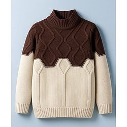 Pine Kids Knit Full Sleeves Pullover Sweater with Color Block & Cable Knit Design - Brown