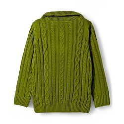 Pine Kids Knit Full Sleeves Pullover Sweater with Cable Knit Design - Green