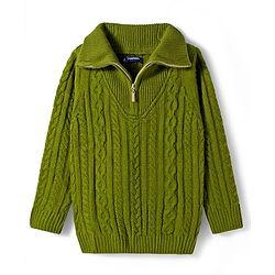 Pine Kids Knit Full Sleeves Pullover Sweater with Cable Knit Design - Green