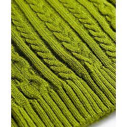 Pine Kids Knit Full Sleeves Pullover Sweater with Cable Knit Design - Green