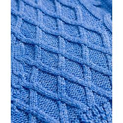 Pine Kids Knit Full Sleeves Pullover Sweater with Cable Knit Design -Blue