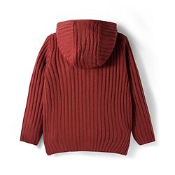 Pine Kids Knit Full Sleeves Front Open Hooded Sweater with Cable Knit Design & Kangaroo Pocket - Rust Orange