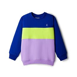 Pine Kids Cotton Knit Full Sleeves Solid Color Cut & Sew Pullover Sweatshirt -  Lavender & Blue