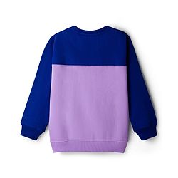Pine Kids Cotton Knit Full Sleeves Solid Color Cut & Sew Pullover Sweatshirt -  Lavender & Blue
