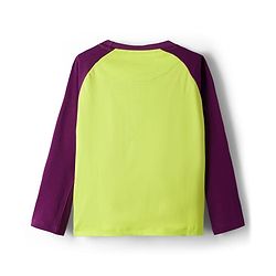 Pine Kids Single Jersey Knit Full Raglan Sleeves With Awesome Dreamer Text Print - Limegreen
