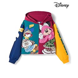 Pine Kids Disney Terry Knit Full Sleeves Hooded Sweatshirt With Minnie & Friends Graphics - Multicolor