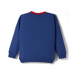 Pine Kids Marvel Terry Knit Drop Shoulder Full Sleeves Sweatshirt With Spider-Man Graphics & Badge Detailing - Blue & Red