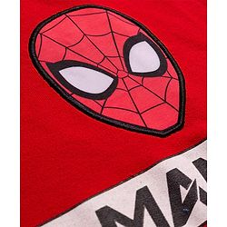 Pine Kids Marvel Terry Knit Drop Shoulder Full Sleeves Sweatshirt With Spider-Man Graphics & Badge Detailing - Blue & Red