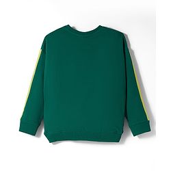 Pine Kids Marvel Terry Knit Drop Shoulder Full Sleeves Sweatshirt With Avengers Hulk Graphics & Cut Sew Detailing - Green
