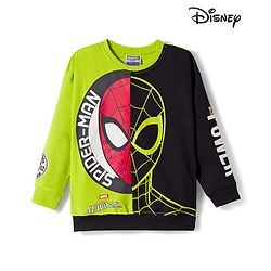 Pine Kids Marvel Terry Knit Drop Shoulder Full Sleeves Cut & Sew Sweatshirt With Spider-Man Graphics - Green & Black