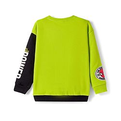 Pine Kids Marvel Terry Knit Drop Shoulder Full Sleeves Cut & Sew Sweatshirt With Spider-Man Graphics - Green & Black