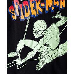 Pine Kids Marvel Terry Knit Full Sleeves Sweatshirt With Front and Back Spider-Man Graphics - Black