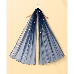 Pine Kids Woven Half Sleeves Choli Lehenga & Dupatta Set With Sequin Detailing - Blue