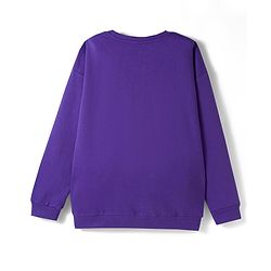 Pine Kids Disney Terry Knit Drop Shoulder Full Sleeves Sweatshirt With Mufasa Graphics - Purple