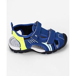 Pine Kids Solid Sandals With Velcro Closure - Blue
