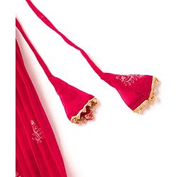 Pine Kids Woven Half Sleeves Choli Lehenga & Dupatta Set With Floral & Mirror Embroidery - Dark Pink