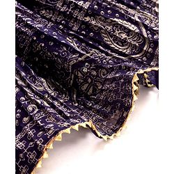 Pine Kids Woven Half Sleeves Choli Lehenga & Dupatta Set With Floral & Mirror Embroidery - Dark Pink