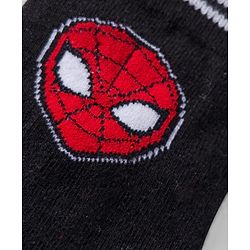 Pine Kids Marvel Knit Ankle Length Antibacterial Socks with Spider-Man Graphic Pack of 3 - Red Black & White