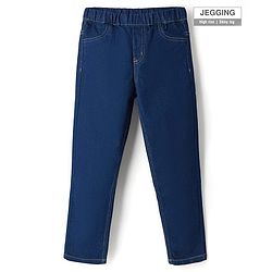 Pine Kids Denim Woven Full Length Washed Jeggings - Blue