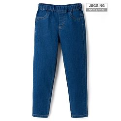 Pine Kids Denim Woven Full Length Washed Jeggings - Blue