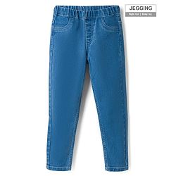 Pine Kids Denim Woven Full Length Washed Jeggings - Blue
