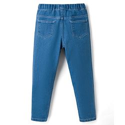 Pine Kids Denim Woven Full Length Washed Jeggings - Blue