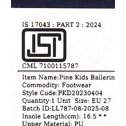 Pine Kids Velcro Closure Closed Toe Ballerina with Bow Applique - Golden