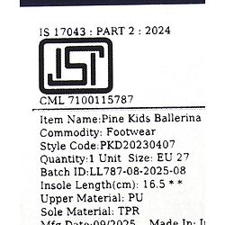 Pine Kids Buckle Closure Closed Toe Ballerina with Bow Applique - Silver