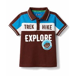 Pine Kids Cotton Knit Half Sleeves Polo T-Shirt with Colour Block Design & Text Print - Brown